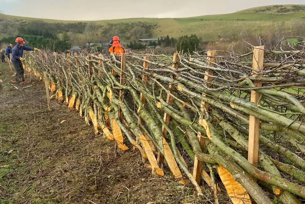 Seasonal Competition Serves Up Traditional Countryside Craft Seasonal Competition Serves Up Traditional Countryside Craft