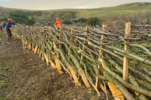 Seasonal Competition Serves Up Traditional Countryside Craft