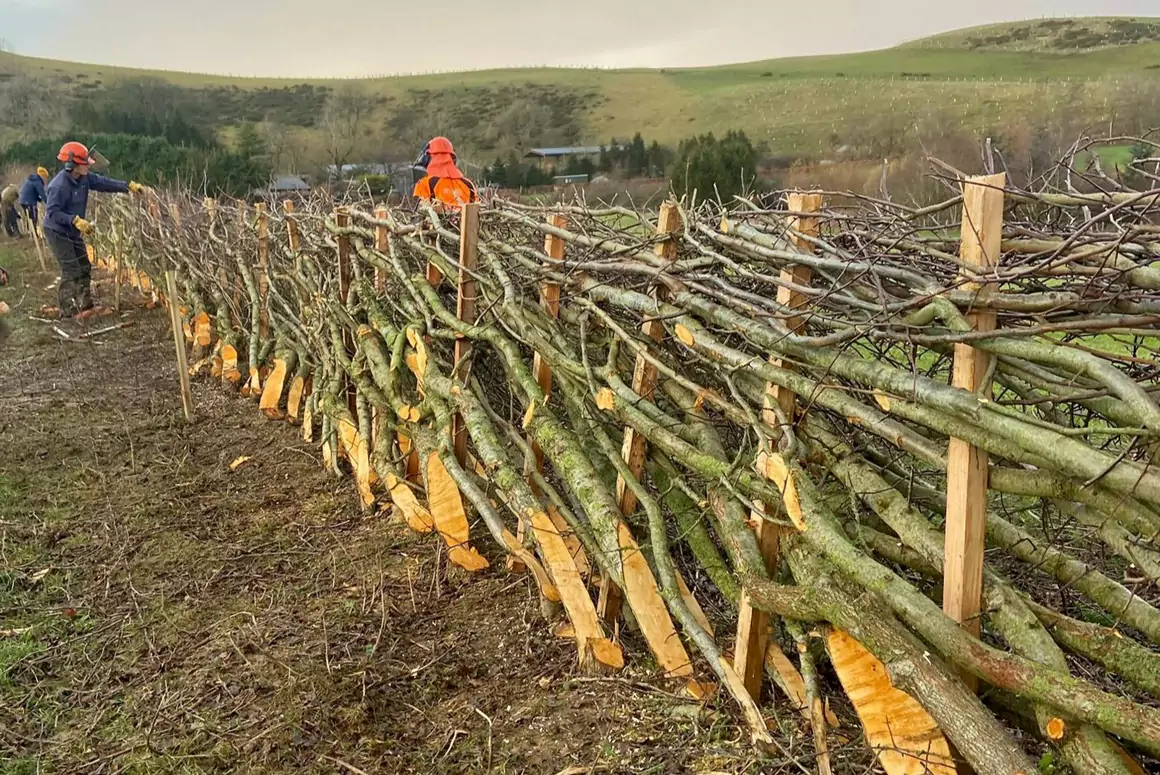 Seasonal Competition Serves Up Traditional Countryside Craft