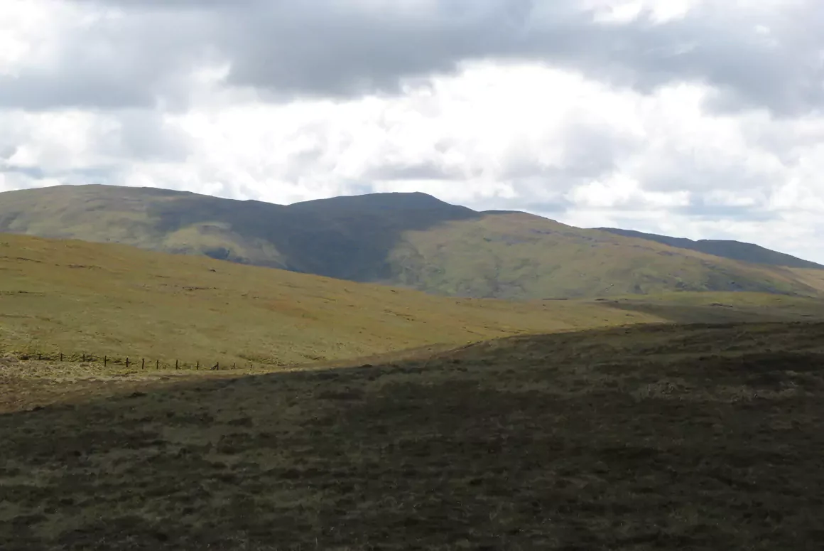 Centenary of Open Space Law