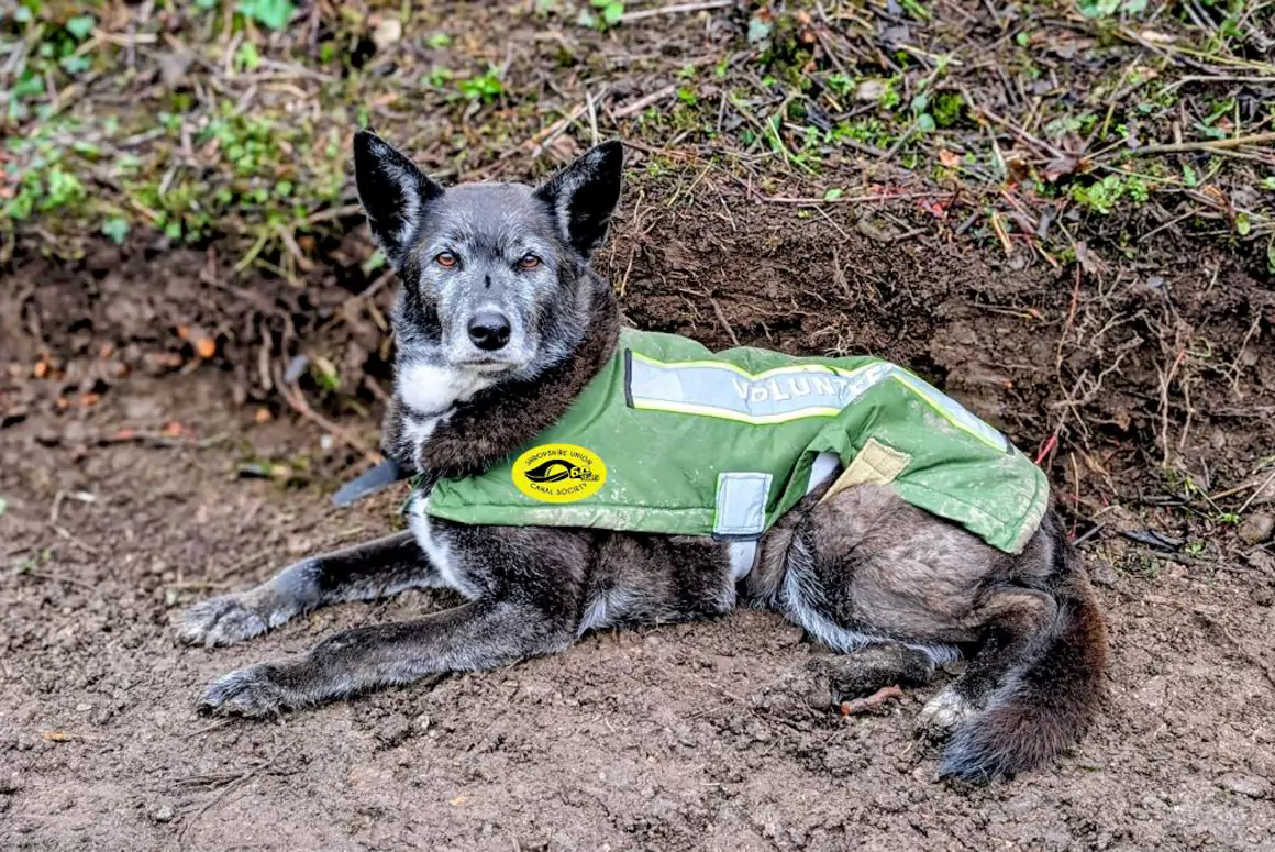Shropshire Union Canal Society - January 2026 Work Party Report