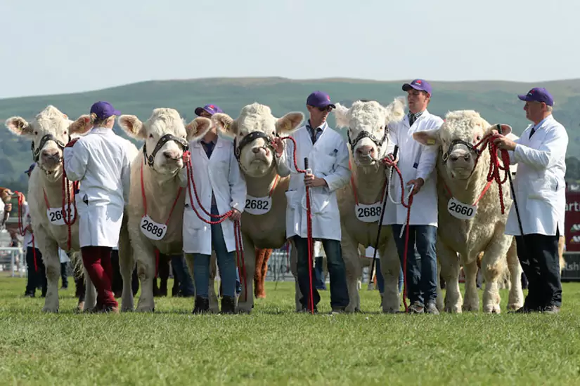 Agricultural and County Shows