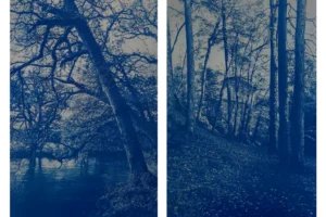 Jess Elliot - Cyanotype (Photography) - To Leave Without A Trace