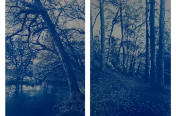 Jess Elliot - Cyanotype (Photography) - To Leave Without A Trace