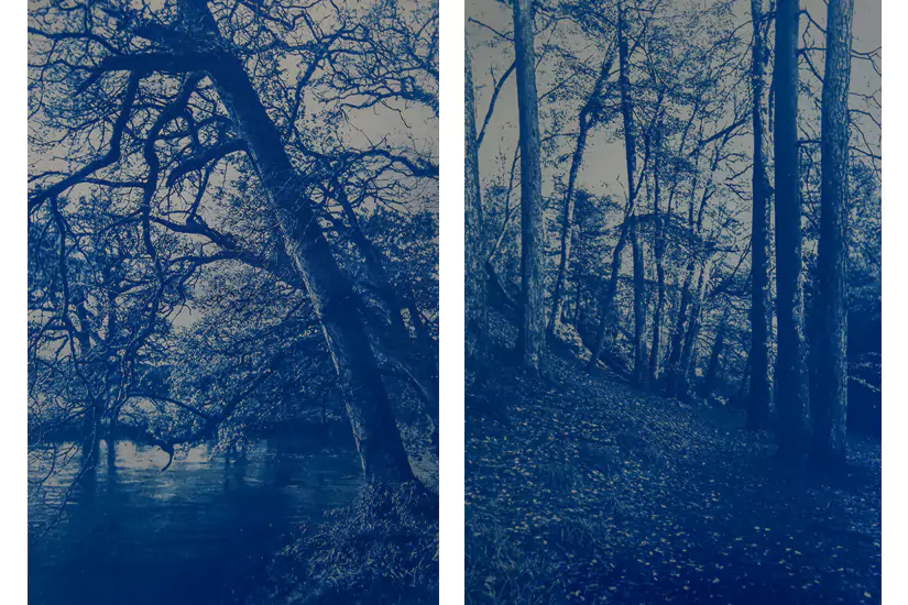 Jess Elliot - Cyanotype (Photography) - To Leave Without A Trace