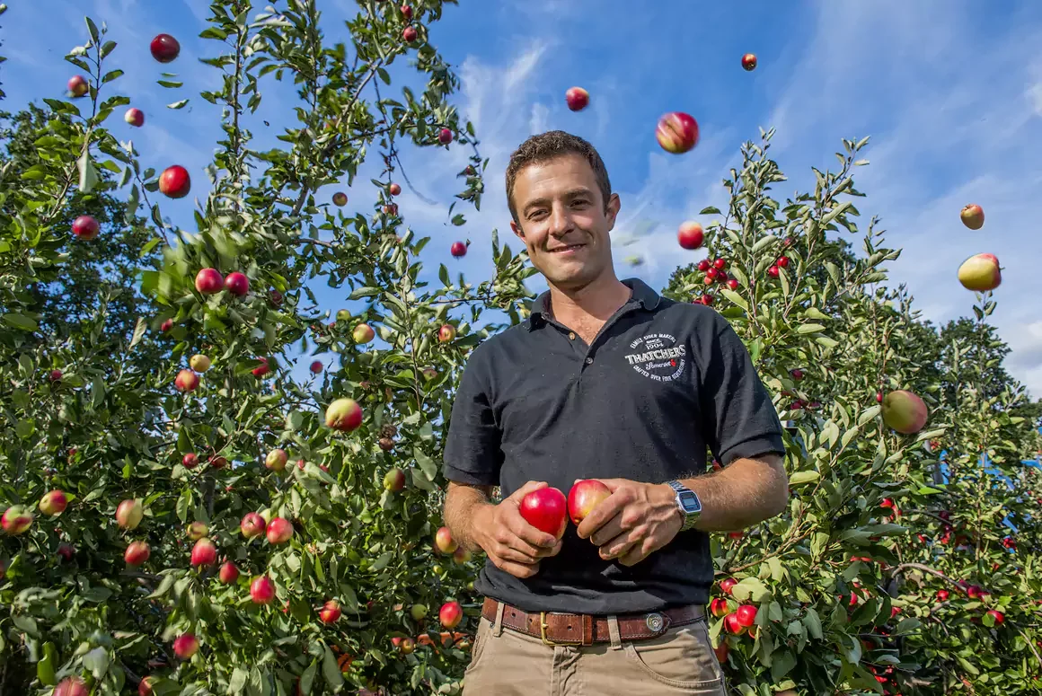 Thatchers Cider Seeks Welsh Groups in Orchard Giveaway