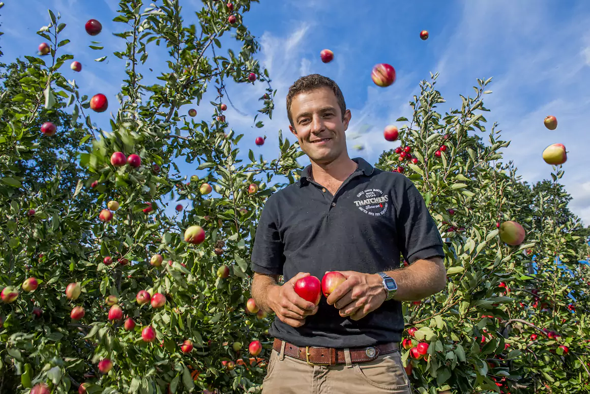 Thatchers Cider Seeks Welsh Groups in Orchard Giveaway