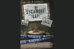 Torch Youth Theatre Presents: Sycamore Gap