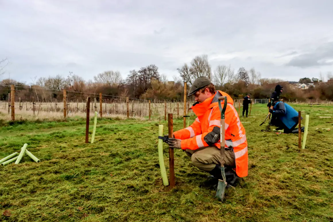 Winter Maintenance to Boost Community Nature Space Habitat