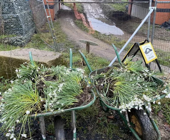 Shropshire Union Canal Society - February 26 Work Party Report