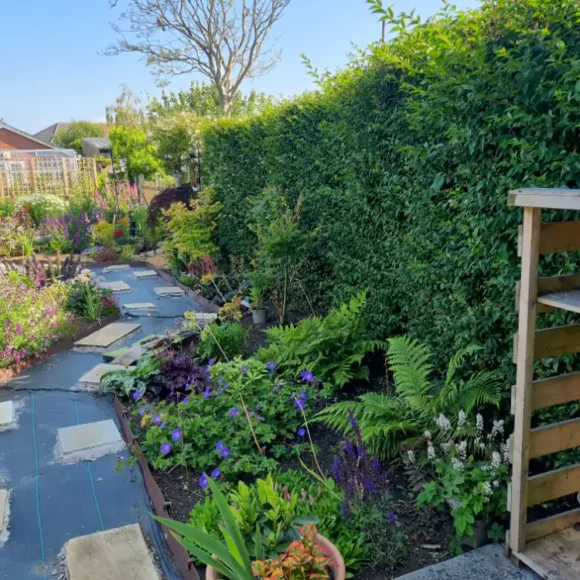 The Early Spring Garden 2026 333 Barry Road