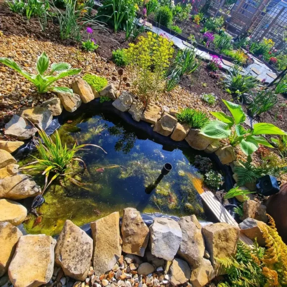 The Early Spring Garden 2026 333 Barry Road