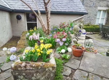 The Early Spring Garden 2026 Aberclwyd Manor