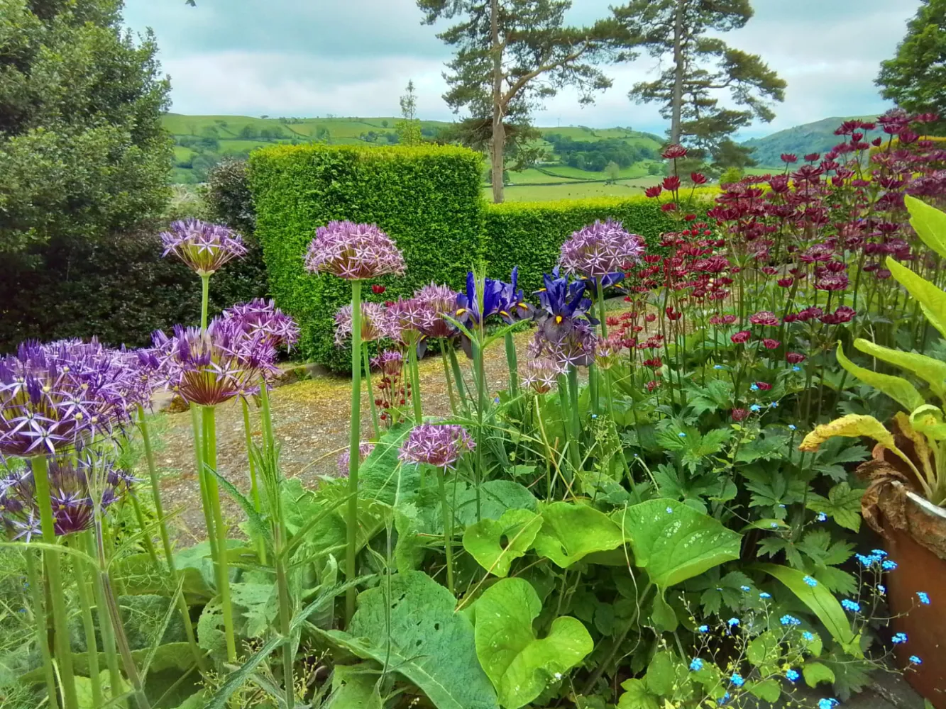 The Early Spring Garden 2026 Aberclwyd Manor