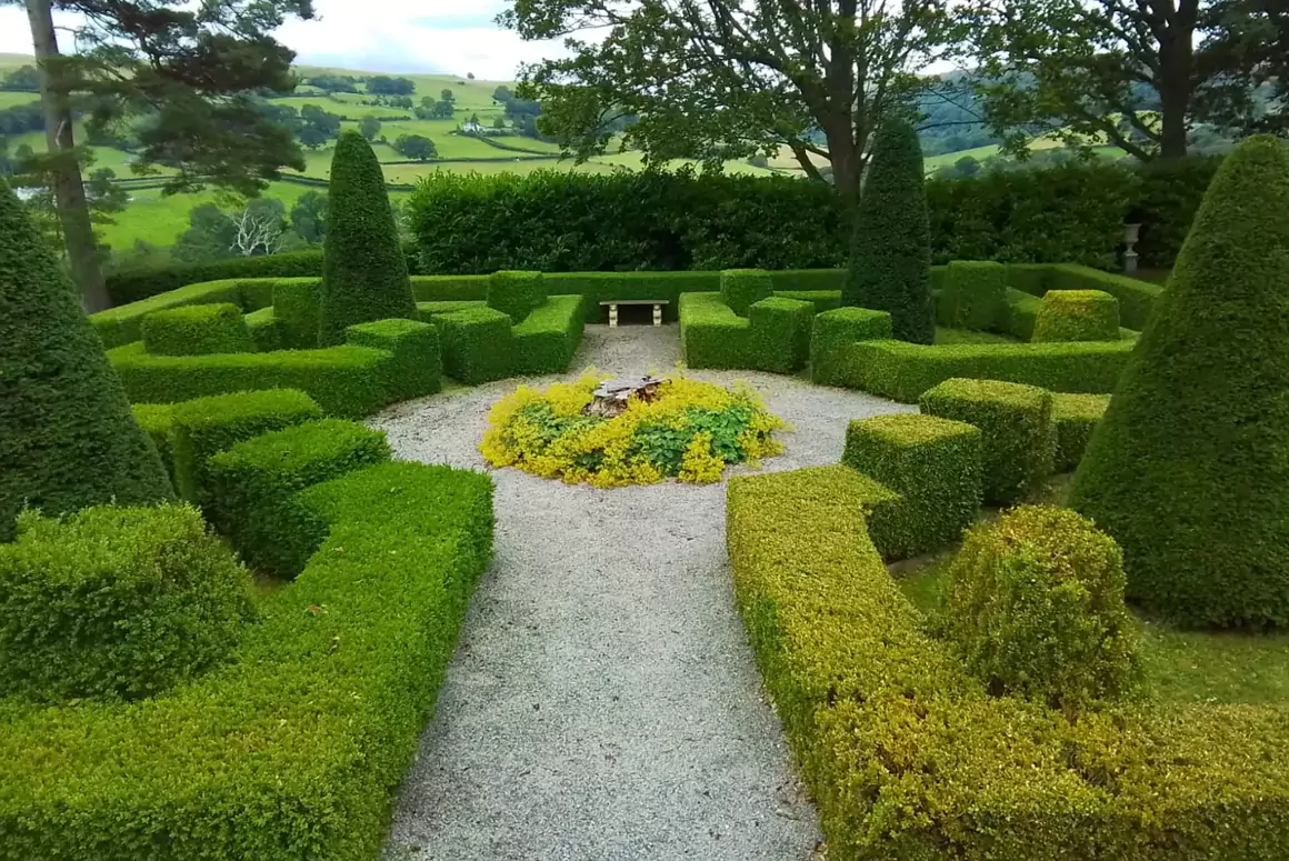 The Early Spring Garden 2026 The Early Spring Garden 2026