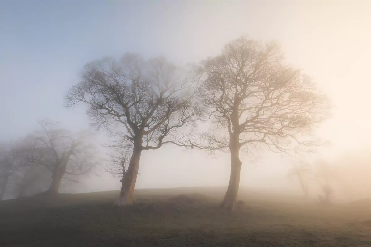 Brad Carr ‘Finding Light’ Brad Carr 'Finding Light'