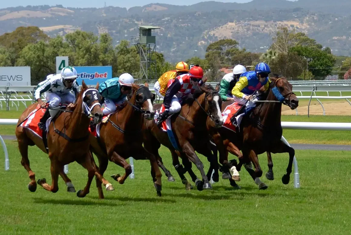 Horse Racing in Wales: Mud, Music, and the Kind of Drama You Only Get Over Fences
