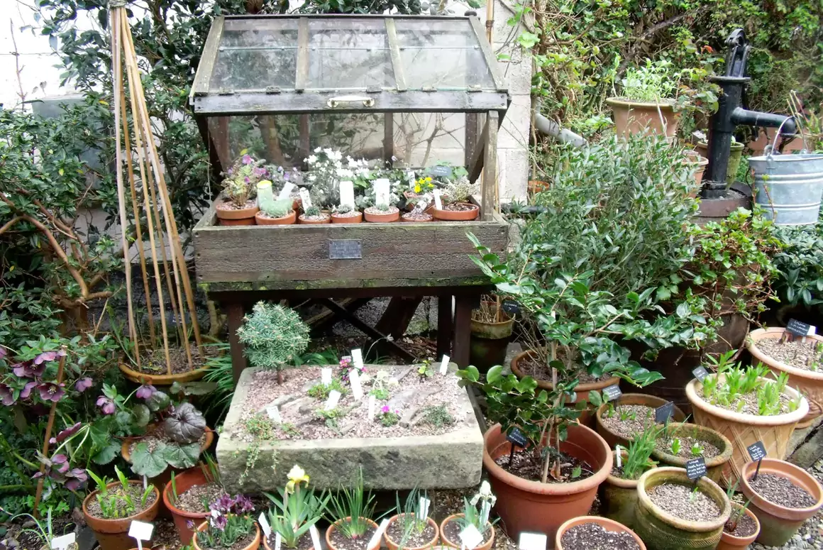 The Early Spring Garden 2026 Oak Cottage