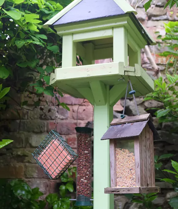 The Early Spring Garden 2026 Oak Cottage