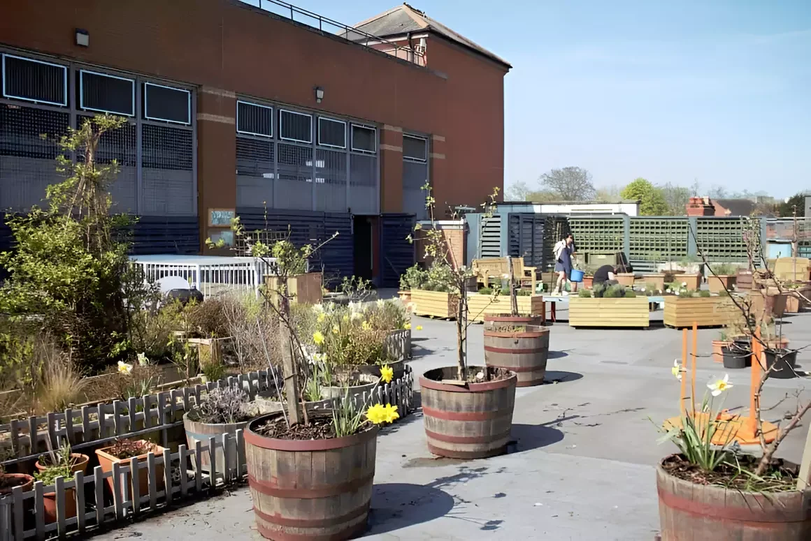 Tŷ Pawb Welcomes Volunteers Back to the Rooftop Garden!