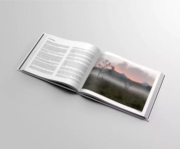 Brad Carr ‘Finding Light’ Brad Carr ‘Finding Light’