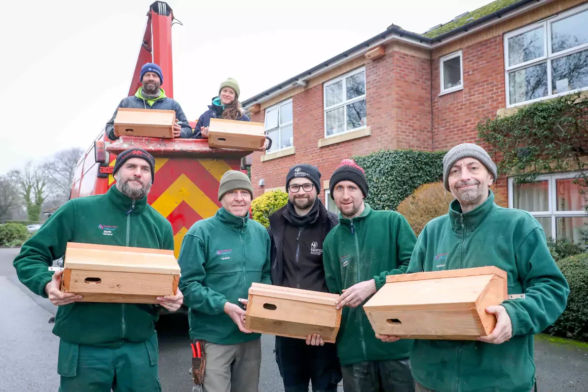 Wales Care Homes Step in to Save Wales’ Disappearing Swifts Wales Care Homes Step in to Save Wales’ Disappearing Swifts