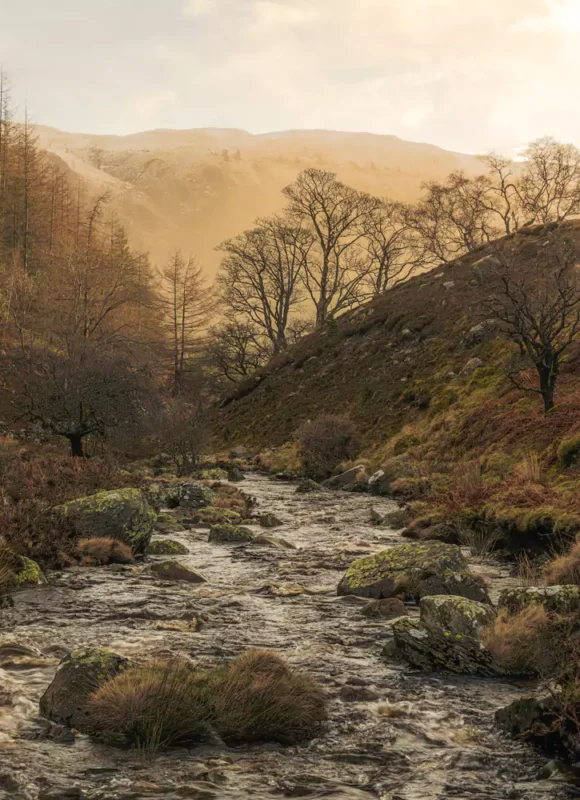 Brad Carr ‘Finding Light’ Brad Carr ‘Finding Light’