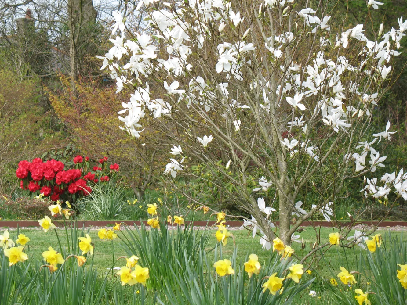 The Early Spring Garden 2026 Treffgarne Hall