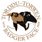 Badger Face Welsh Mountain Sheep Society Badger Face Welsh Mountain Sheep Society