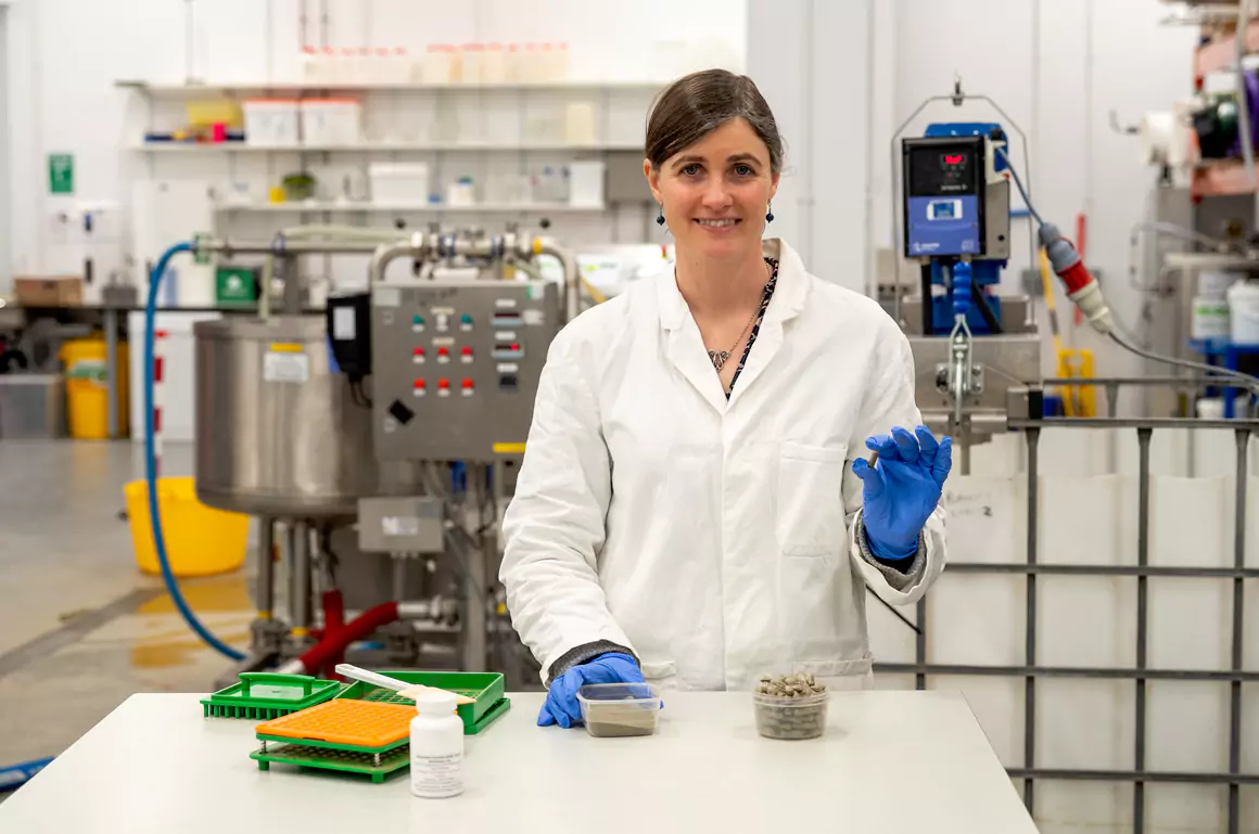 New Seaweed Extract Shows Promising Health Benefits