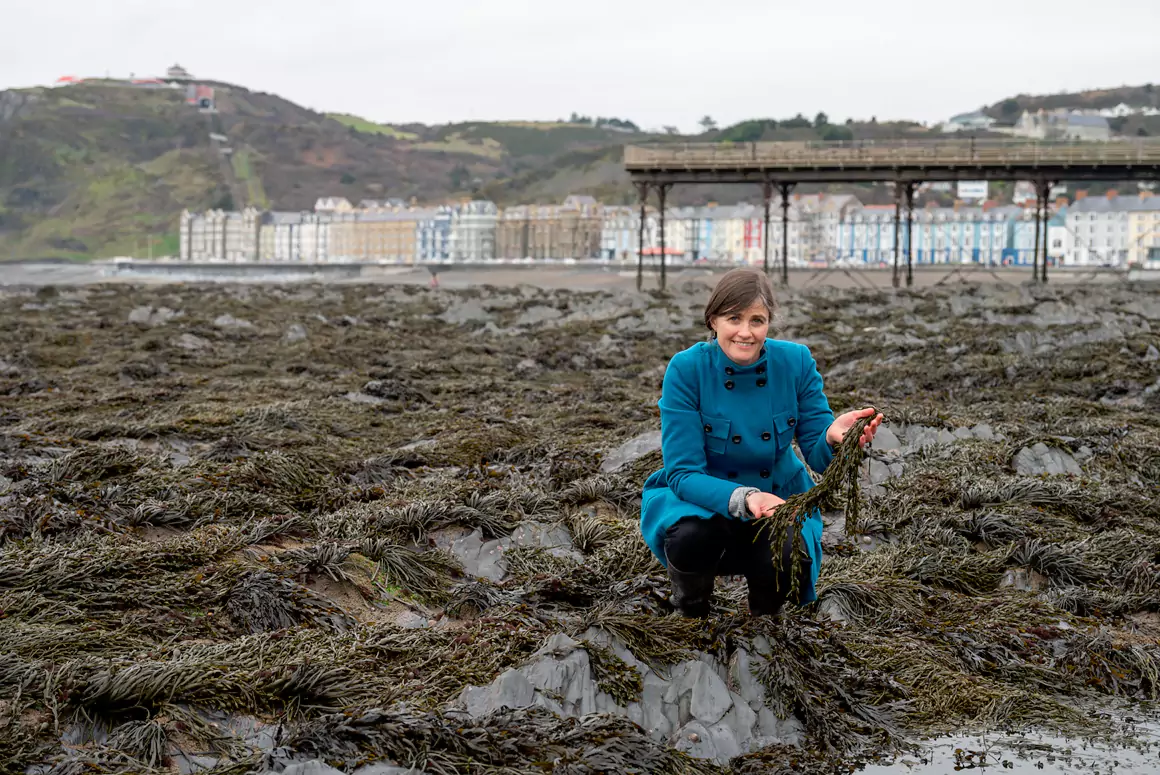 New Seaweed Extract Shows Promising Health Benefits