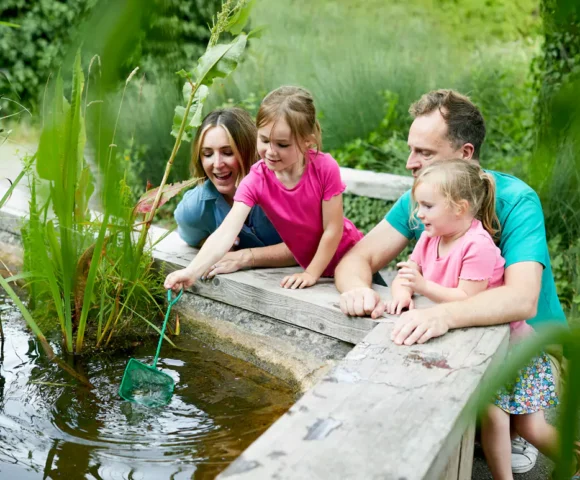 Gozzle Hatches this Spring at WWT Llanelli