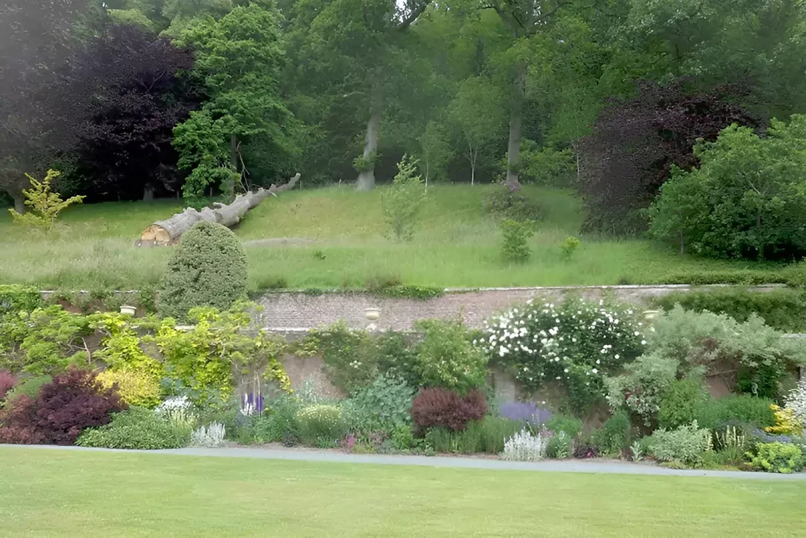 Upcoming National Garden Scheme Open Gardens
