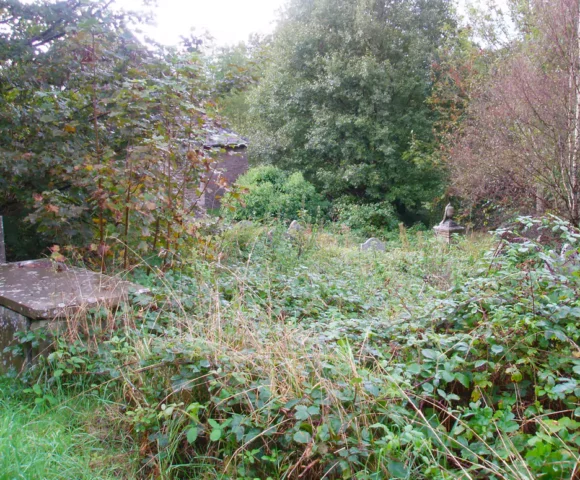 Looking for Martha Looking for Martha