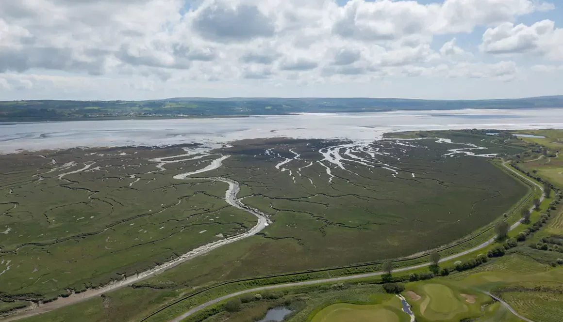 WWT to Create Bigger, More Connected Wetlands in Wales