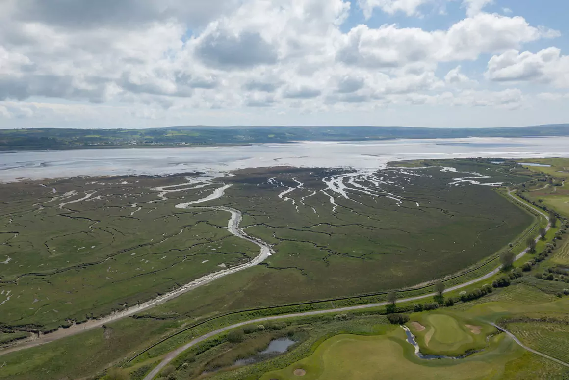 WWT to Create Bigger, More Connected Wetlands in Wales