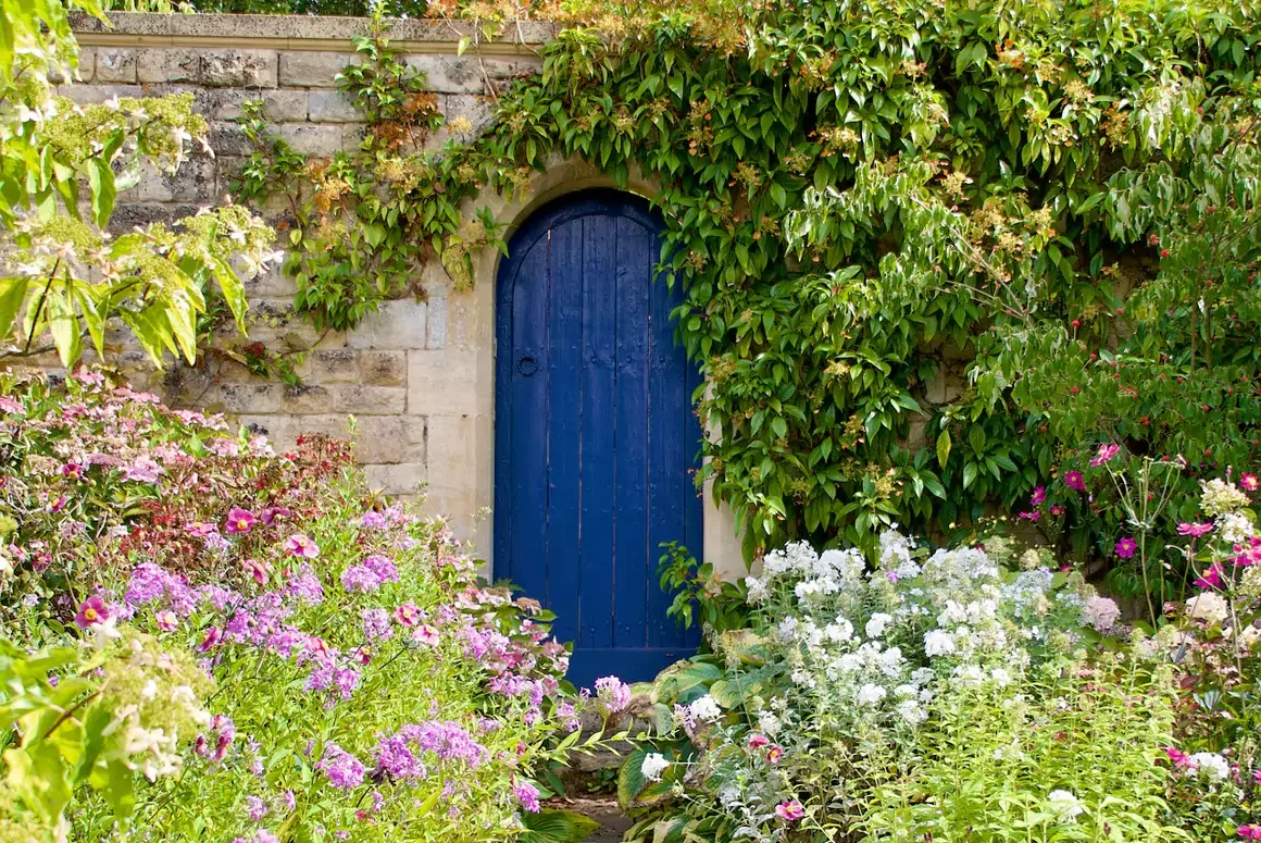 Carmarthenshire’s Secret Gardens: Where to Find Rare Plant Varieties You Can’t Find in Garden Centers