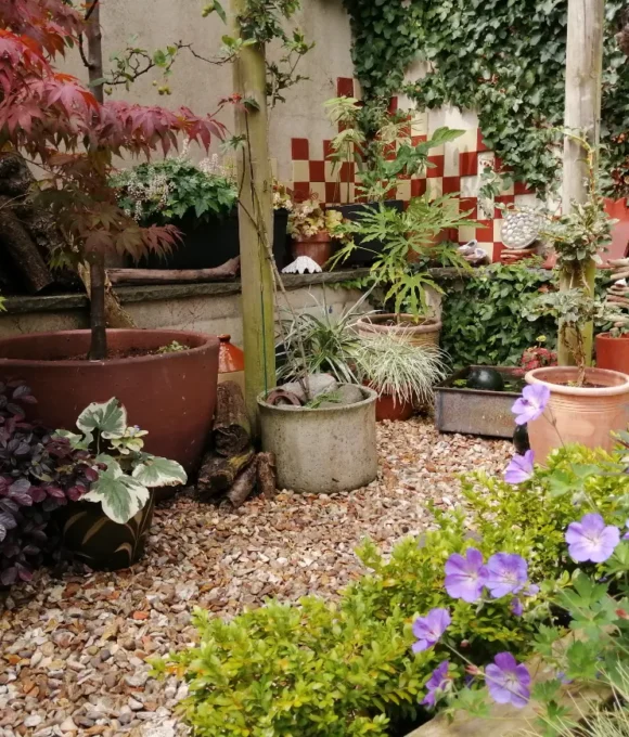 The Spring Garden 2026 The Spring Garden 2026