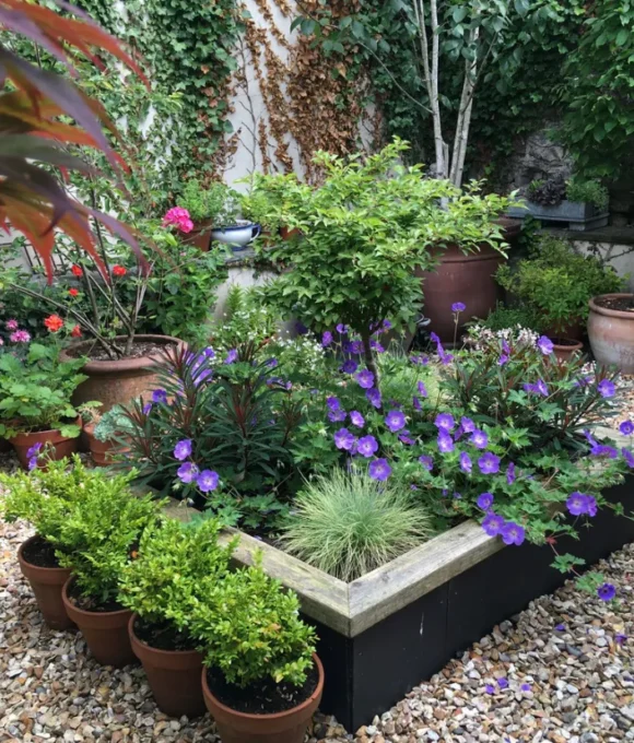 The Spring Garden 2026 6 Trafalgar Road, Tenby