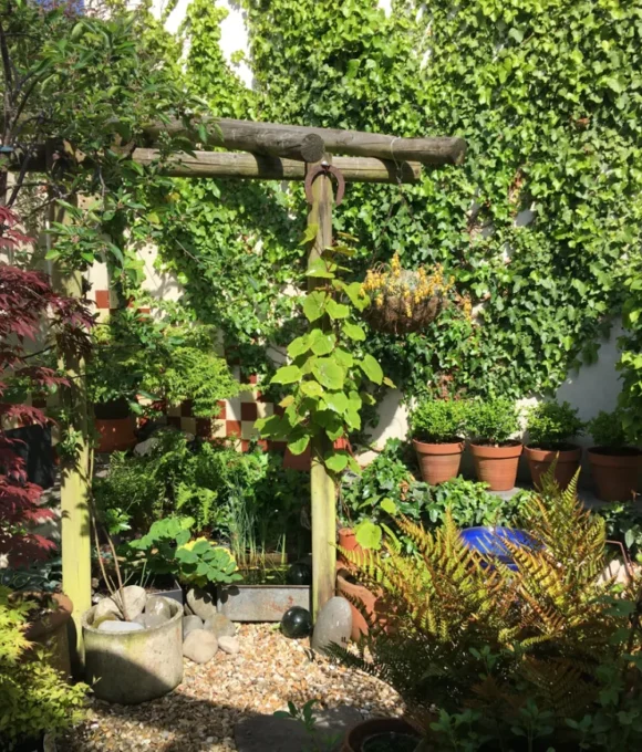 The Spring Garden 2026 6 Trafalgar Road, Tenby