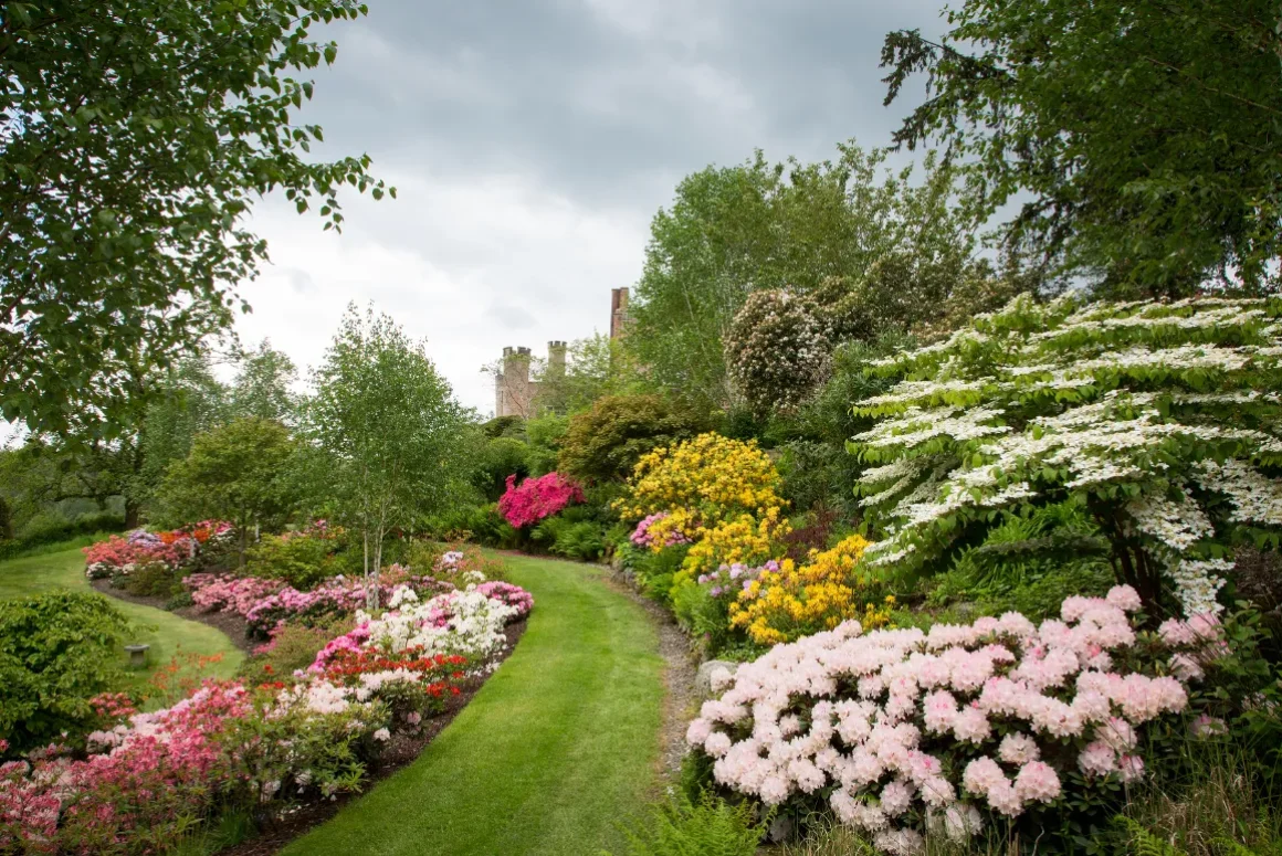 The Spring Garden 2026 Brynkinalt Hall