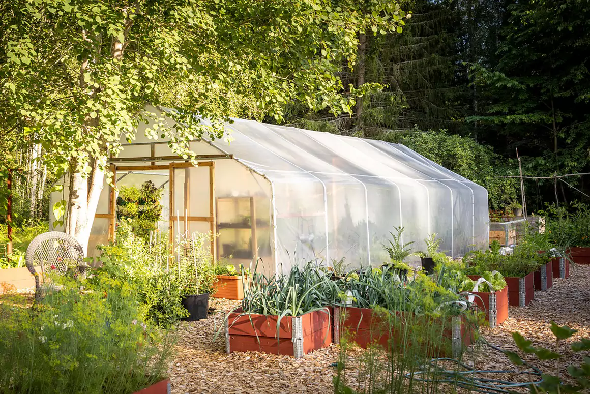 Welsh Kitchen Gardens Are Quietly Reclaiming Their Heritage Role
