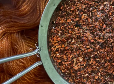 Carmarthen School of Art Students Exhibiting at Wonderwool Wales