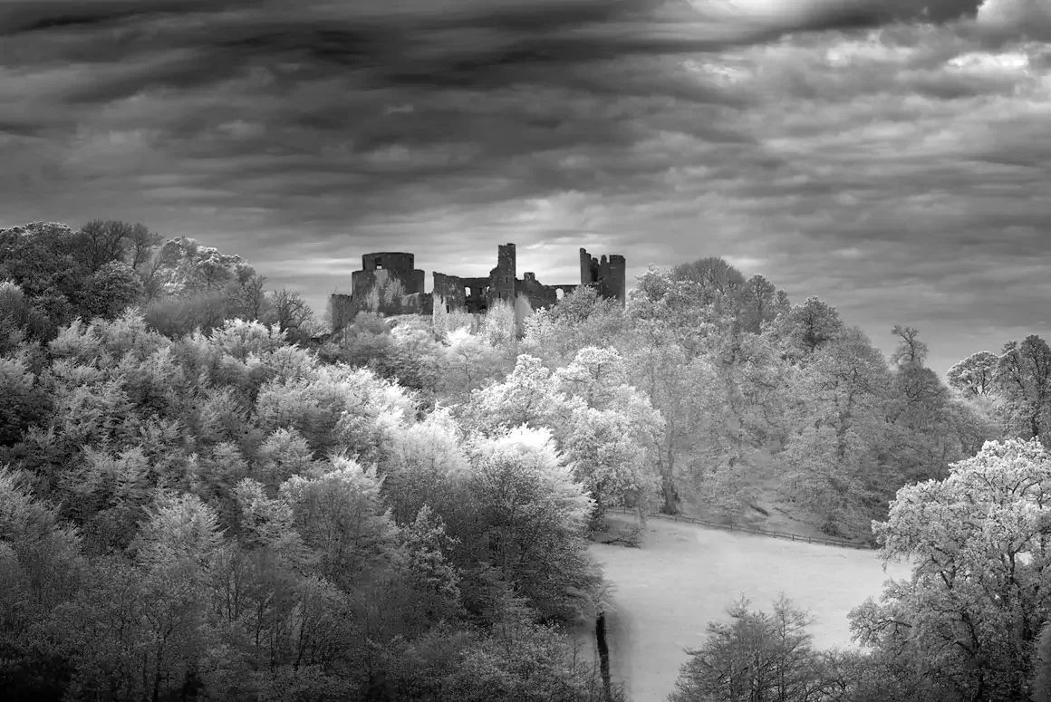 Philip Silver Photography