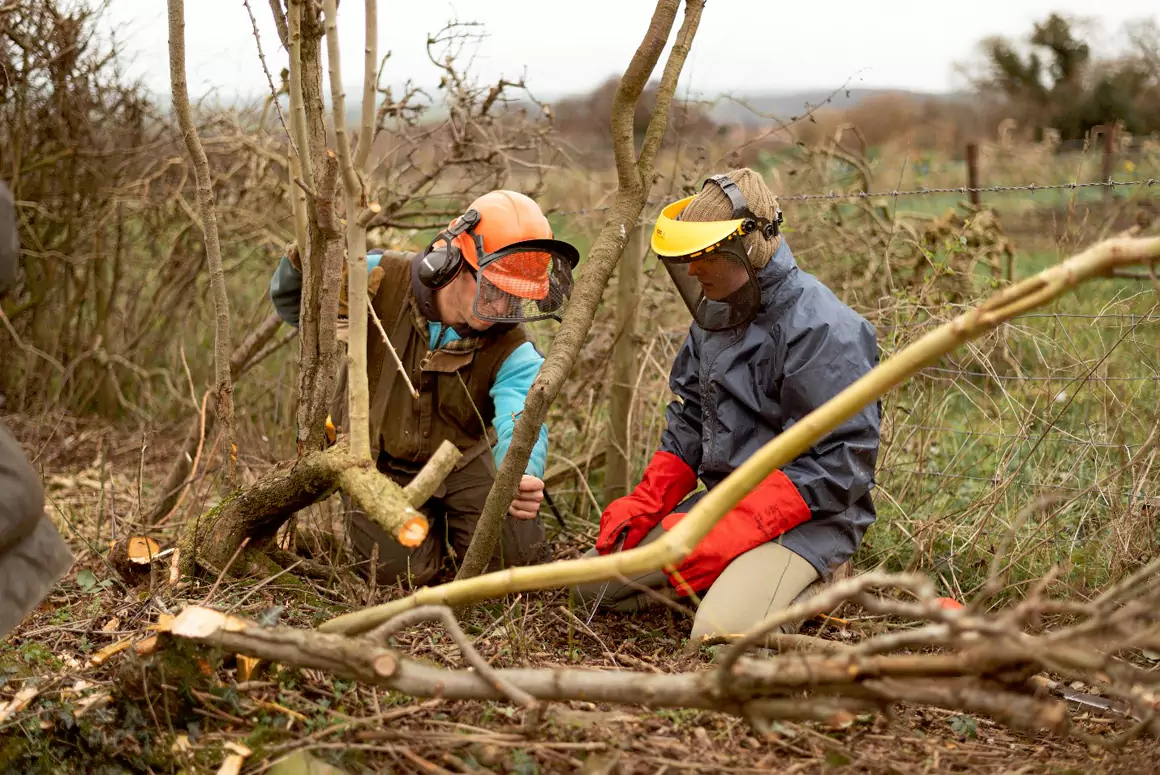 The Royal Countryside Fund Supports Rural Skills Training
