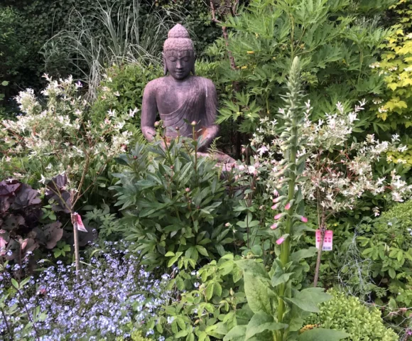 The Spring Garden 2026 Salts Lodge