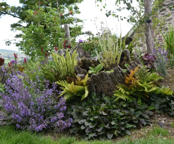 The Spring Garden 2026 Upper Bwlch Farm