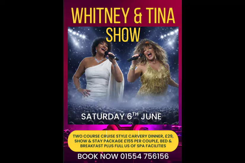 Whitney & Tina Tribute Show