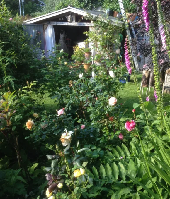 The Spring Garden 2026 Zion House, Tenby