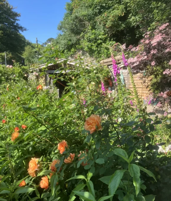 The Spring Garden 2026 Zion House, Tenby